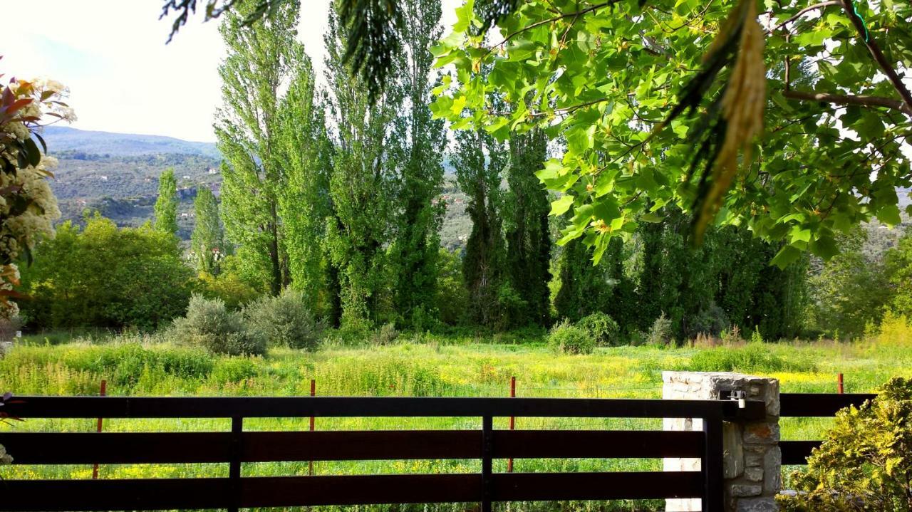 To Spiti - Pelion House * Kala Nera