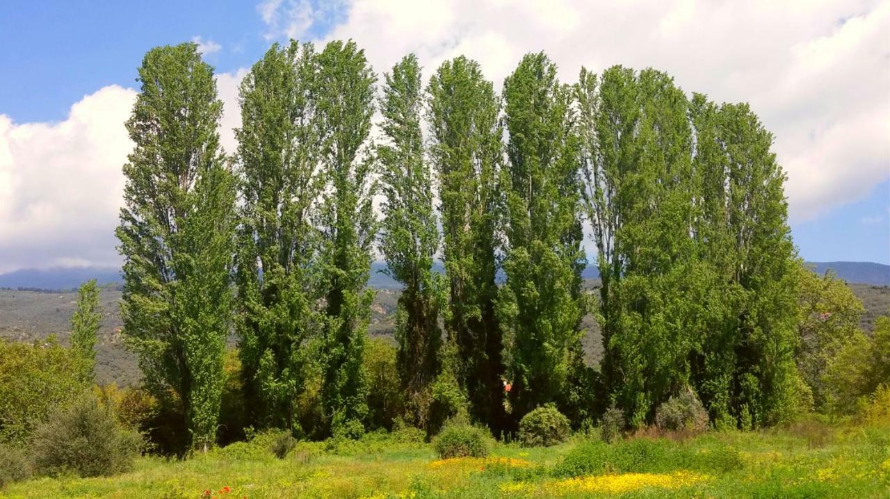 Apartment To Spiti - Pelion House